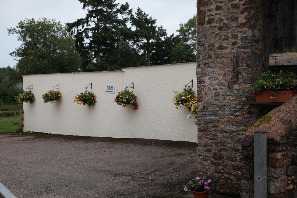 Weir Mill Farm Bed & Breakfast Cullompton Eksteriør bilde