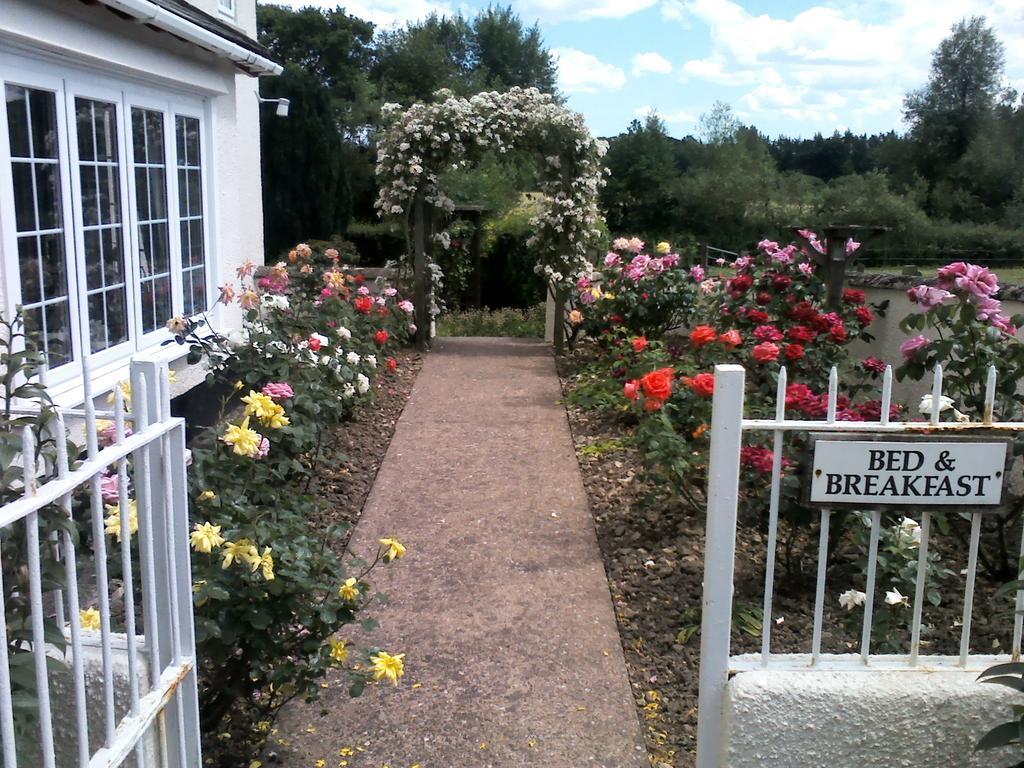 Weir Mill Farm Bed & Breakfast Cullompton Eksteriør bilde